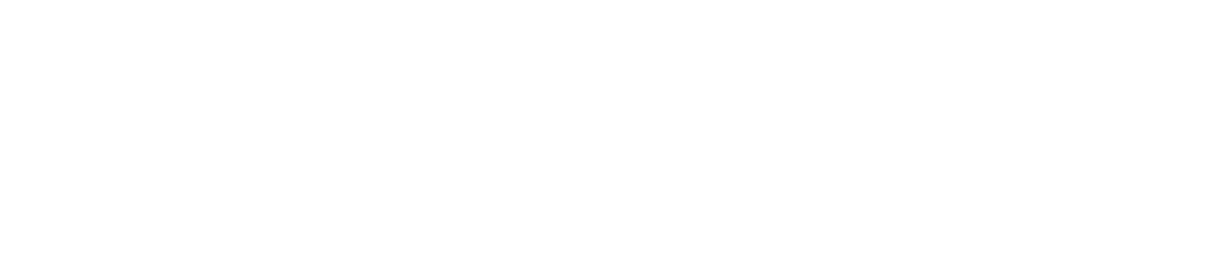 Custom Logo Design